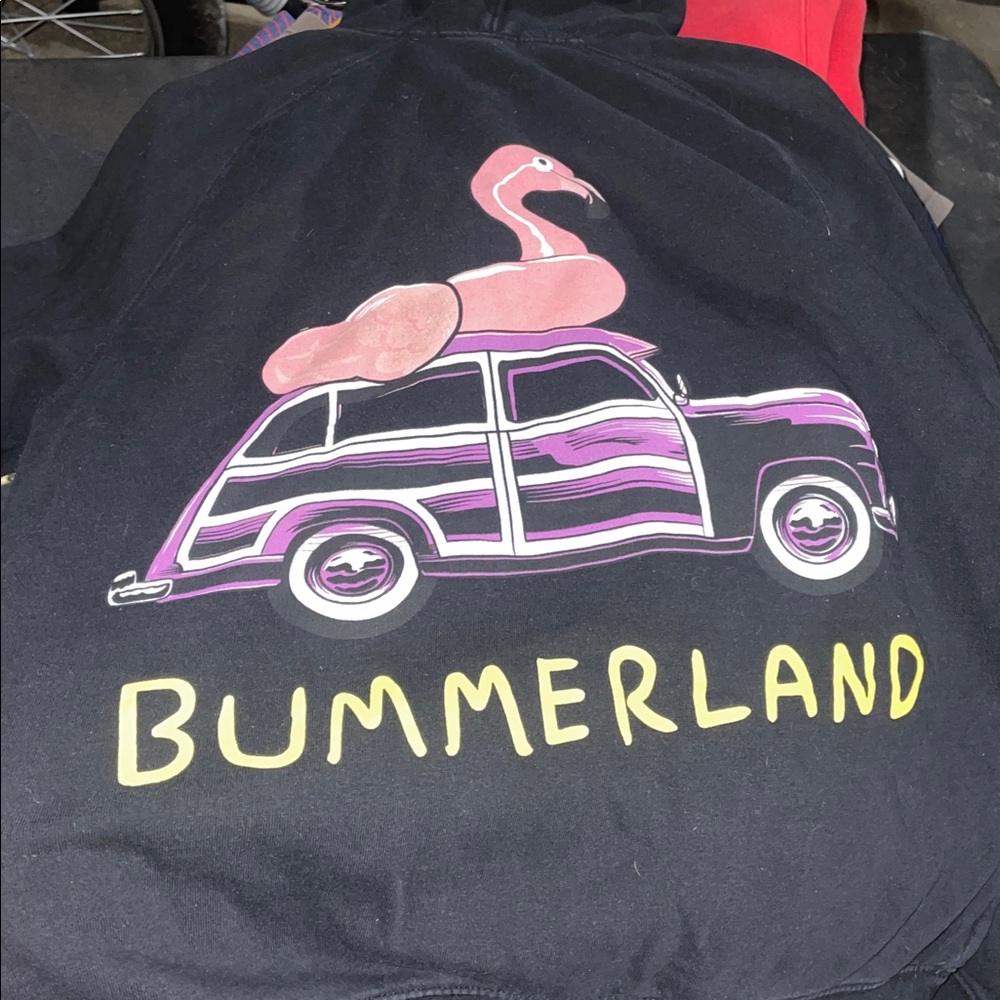 AJR Bummerland Woodie Flamingo 2022 OK Orchestra Tour Black Hoodie Adult medium